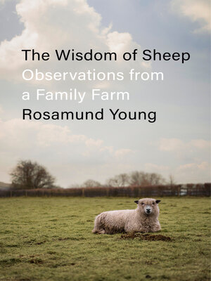cover image of The Wisdom of Sheep